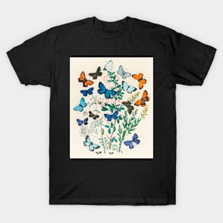 Butterfly Vintage Science Illustration T-Shirt